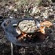 Petromax Grill- und Feuerschale - Dirt Adventure 4x4 - Offroad Outdoor Camping